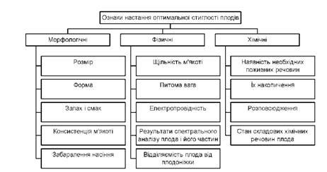 Определение оптимального времени сбора плодов