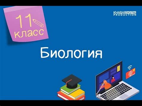 Определение основных компонентов