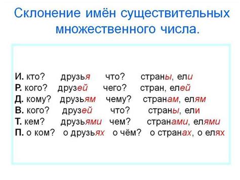 Определение падежа во множественном числе: основные советы и примеры