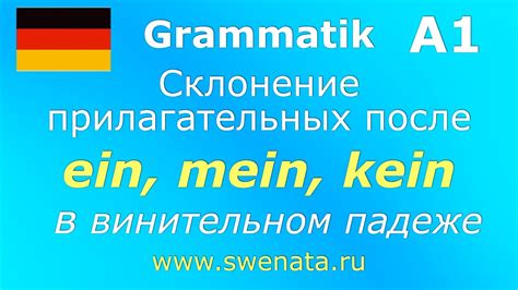 Определение падежа существительного 4 класса в винительном падеже