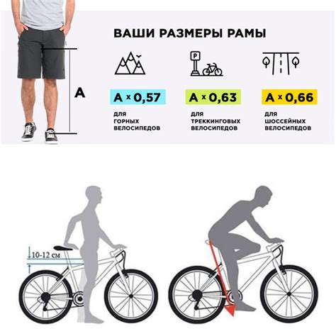 Определение правильного размера велосипеда