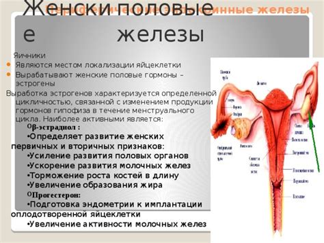 Определение признаков женских органов