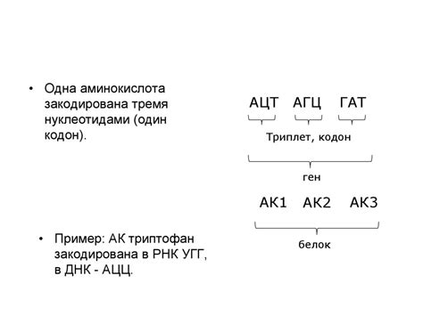 Определение происхождения по генетическому коду