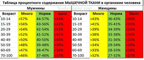 Определение процента жира с помощью сантехники