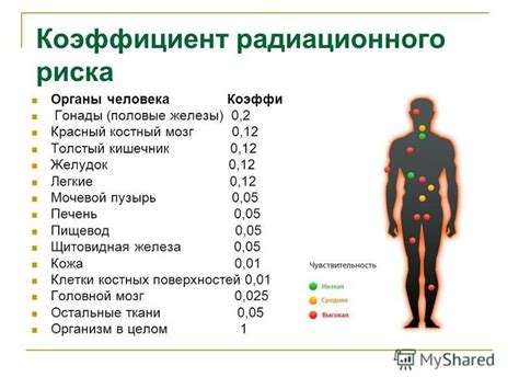 Определение радиации и ее влияние на организм человека