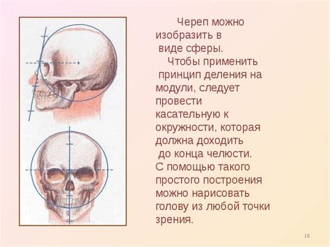 Определение размеров и пропорций кухни