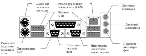 Определение разъемов монитора и системного блока