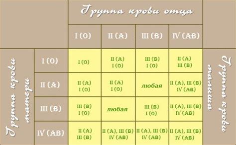 Определение совместимости для зачатия ребенка: полезные советы