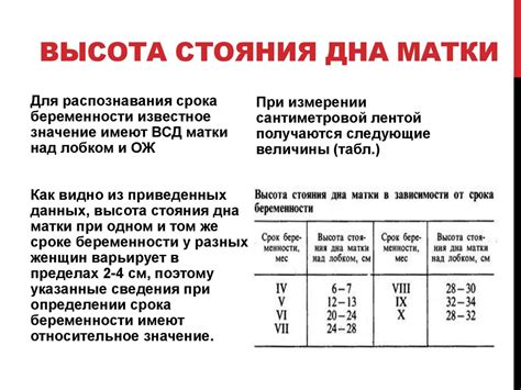 Определение срока беременности по размеру матки