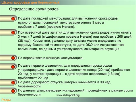 Определение срока и причин проверки