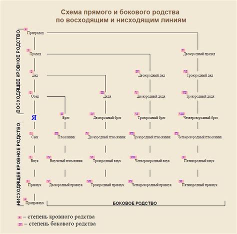 Определение степени родства