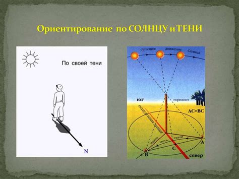 Определение сторон света: