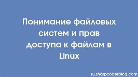 Определение типа файла в Linux: инструменты и методы