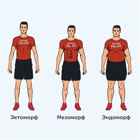 Определение типа фигуры у мужчин без ошибок