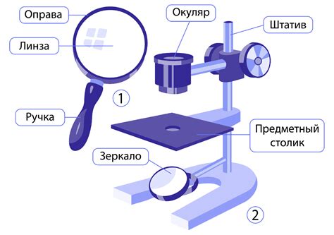 Определение увеличения лупы