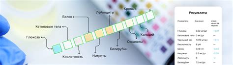 Определение цвета антифриза с помощью тест-полосок