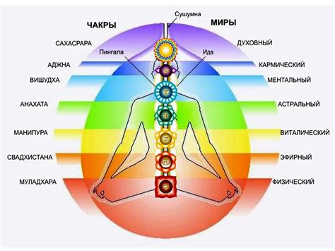 Определение чакр и их важность для энергетического равновесия организма