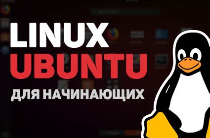 Определение Ubuntu и bash