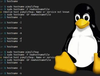 Определение hostname в Linux