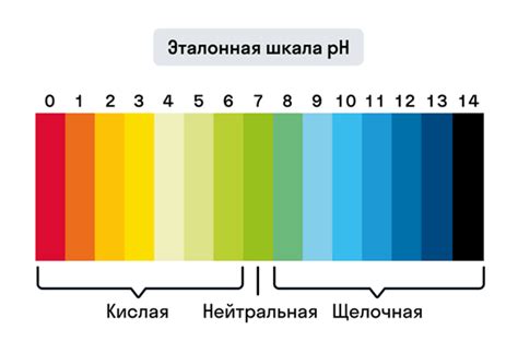 Определение pH и дренаж