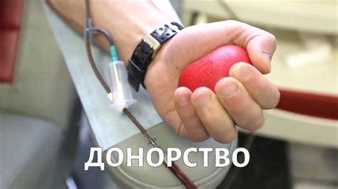 Определенные продукты, которые следует исключить перед сдачей крови