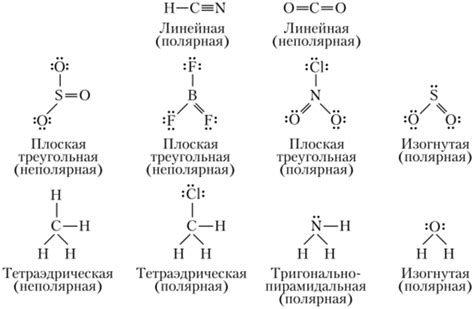 Определите полярность