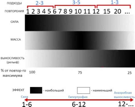 Определите правильное количество повторений