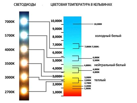 Определите правильный уровень освещенности