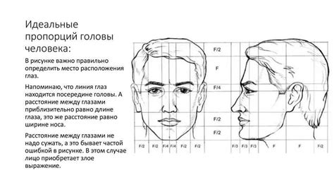 Определите пропорции головы