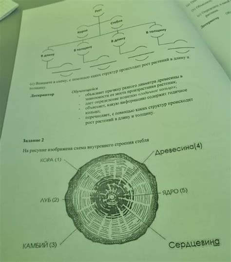 Определите требуемую длину и толщину лески