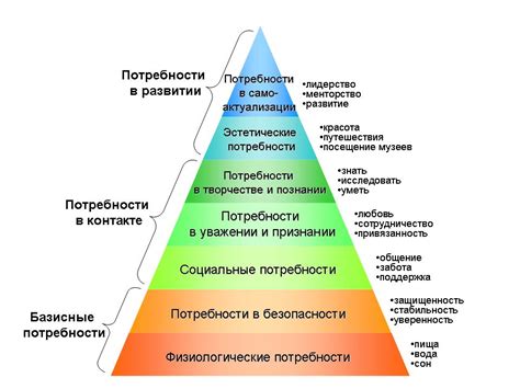 Определите цель и потребности