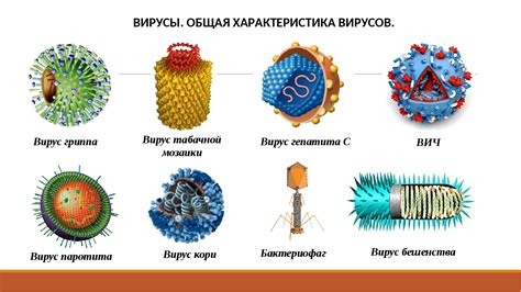 Определяем вид и характеристики вируса 32