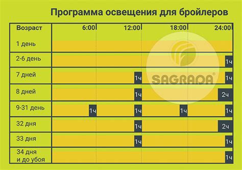 Оптимальная продолжительность освещения для растения