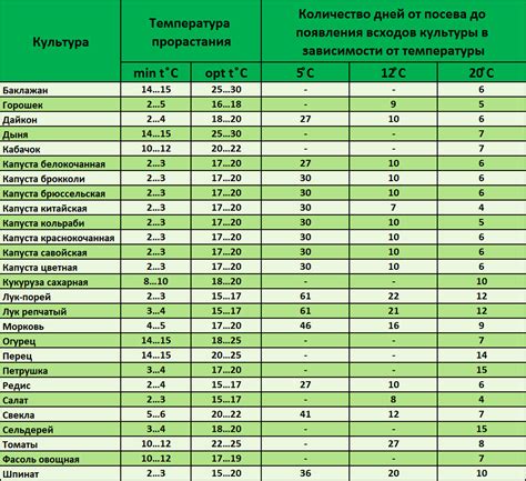 Оптимальная температура для посадки семян мяты овощной