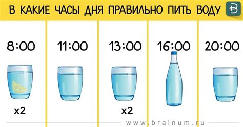 Оптимальное время для последнего приема воды