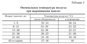 Оптимальное освещение и температурный режим