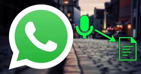 Оптимальные настройки аудио в WhatsApp