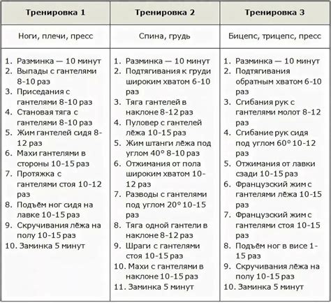 Оптимальный план тренировок и питания на примере