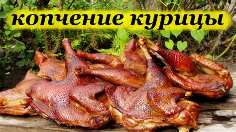 Оптимальный срок употребления копченой курицы