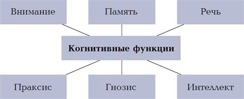 Оптимизация когнитивных функций