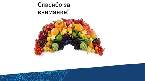 Оптимизация питания: роль полезных продуктов