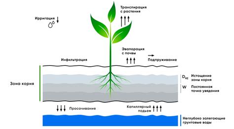 Оптимизация полива