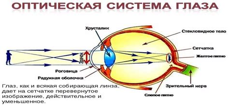 Оптическая система видеокамеры