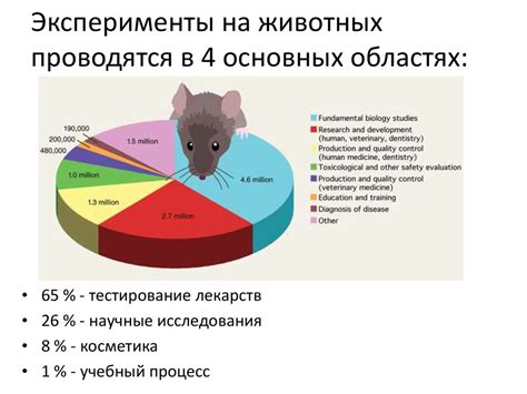 Опыты на животных и понимание функций: основные моменты