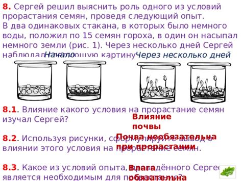 Опыт исследований о влиянии святой воды на животных