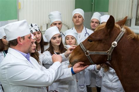 Опыт успешных поступающих без сдачи химии на ветеринара