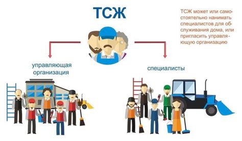 Организация ТСЖ