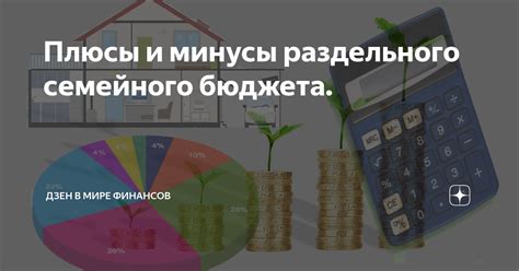 Организация и координация семейного бюджета: финансовая стабильность