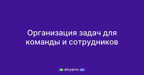 Организация команды и распределение задач