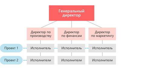 Организация отделов и розничный ассортимент